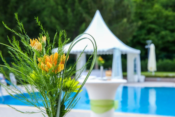 СВАТБЕНИ ТЪРЖЕСТВА