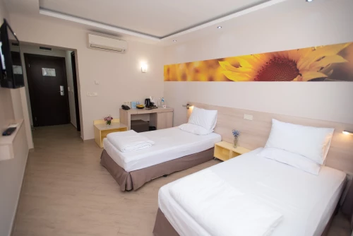 ДВОЙНА СТАЯ ДЕЛУКС